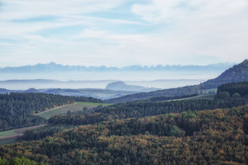 Foggy moments - Free image #395157